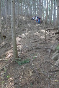 P1000287