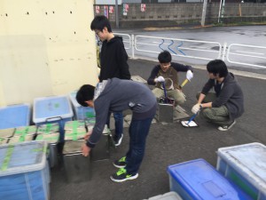 IMG_2552