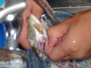 DSC01820