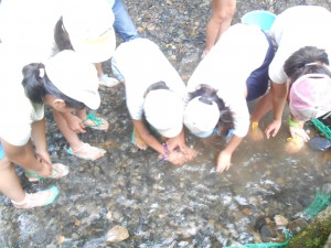 DSCN2545